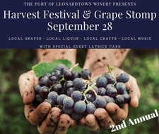 2019 Harvest Festival Designated Driver